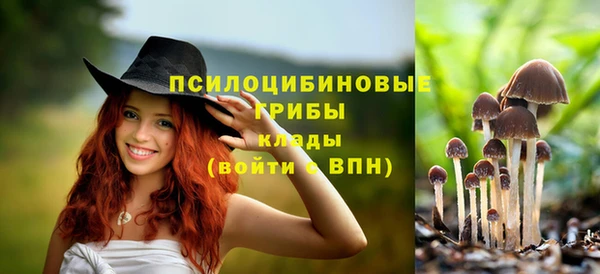 меф Абаза
