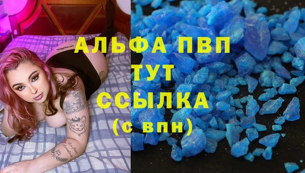 прущие грибы Пролетарск