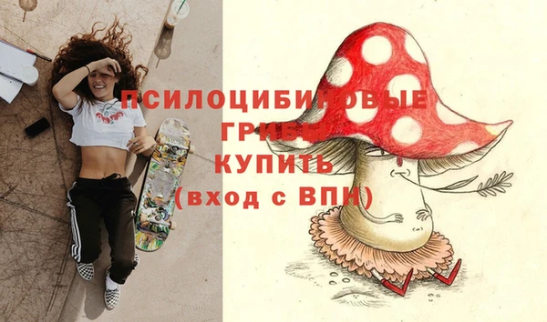 гидропоника Абдулино