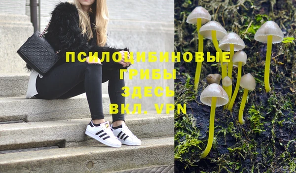 гидропоника Абдулино
