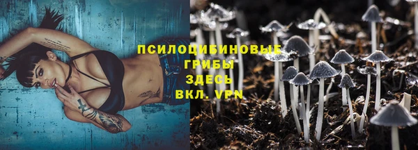 гидропоника Абдулино
